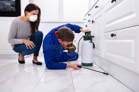 Best Real Estate Pest Inspections  in Arbury Hls, IL